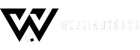 WebsightGuys Logo