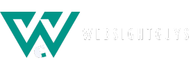 WebsightGuys Logo